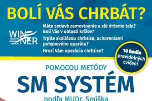 sm system.jpg